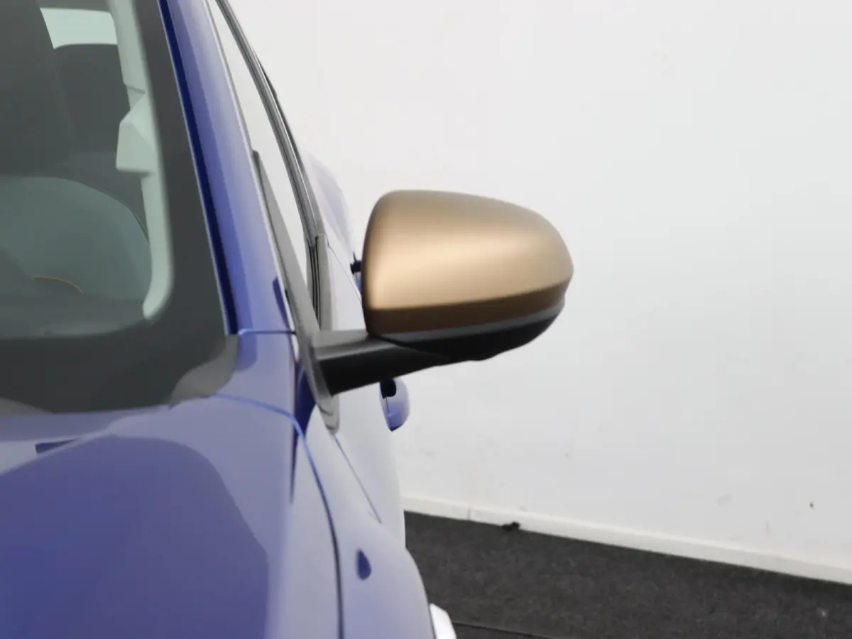 TCe 110 Stepway limited edition | 360 Camera | Navigatie | Climate Control |