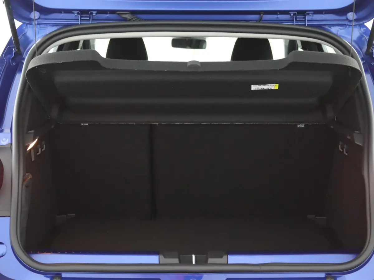 TCe 110 Stepway limited edition | 360 Camera | Navigatie | Climate Control |