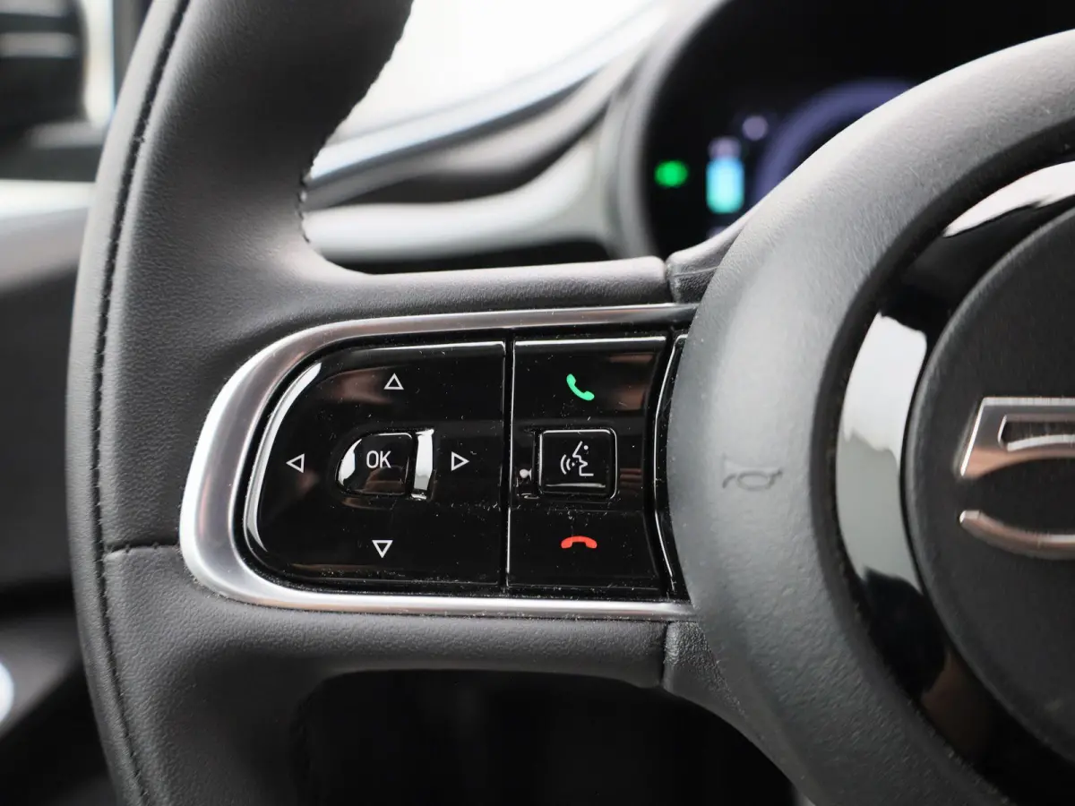 Icon 42 kWh | Apple Carplay / Android Auto | Keyless | Virtual Cockpit |