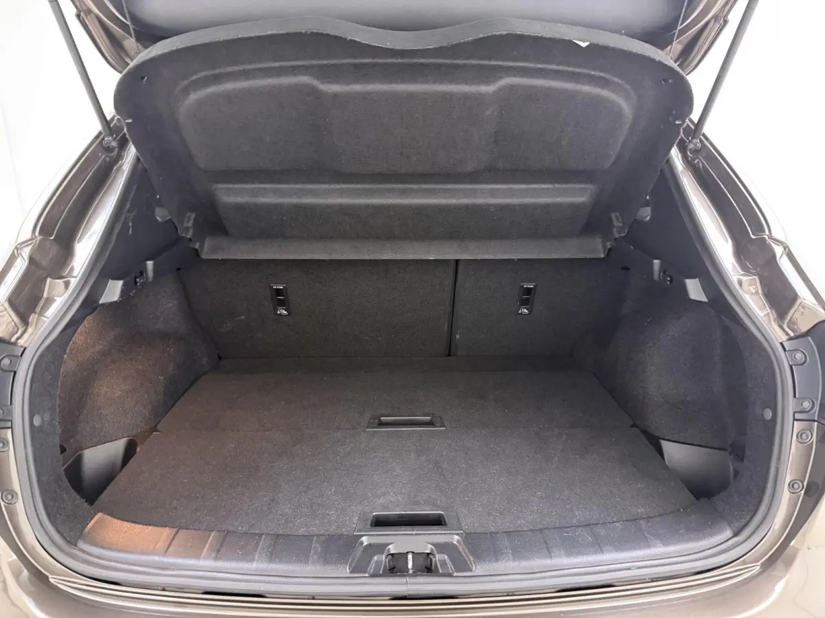 1.6 Acenta | Camera | Trekhaak | Privacy Glass | Lichtmetalen Velgen |