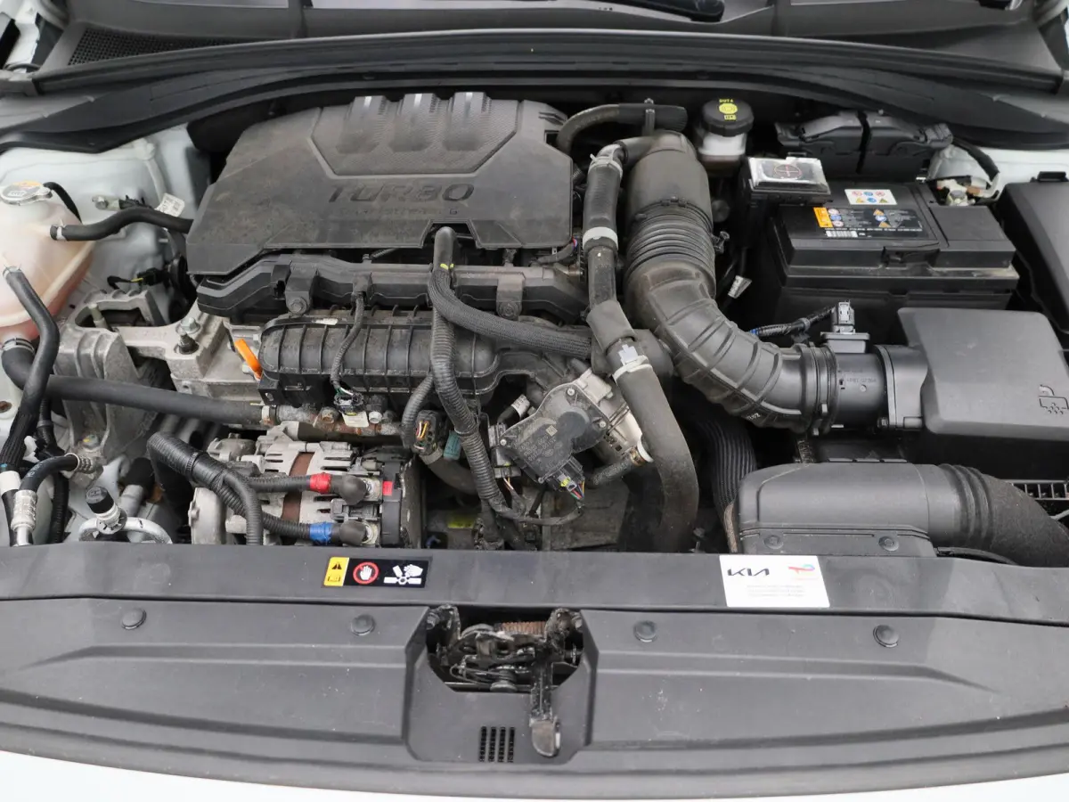 1.0 T-GDi MHEV DynamicLine | CAMERA | PARKEERSENSOREN | CLIMATE CONTROL | APPLE CARPLAY | LMV | CRUISE CONTROL |