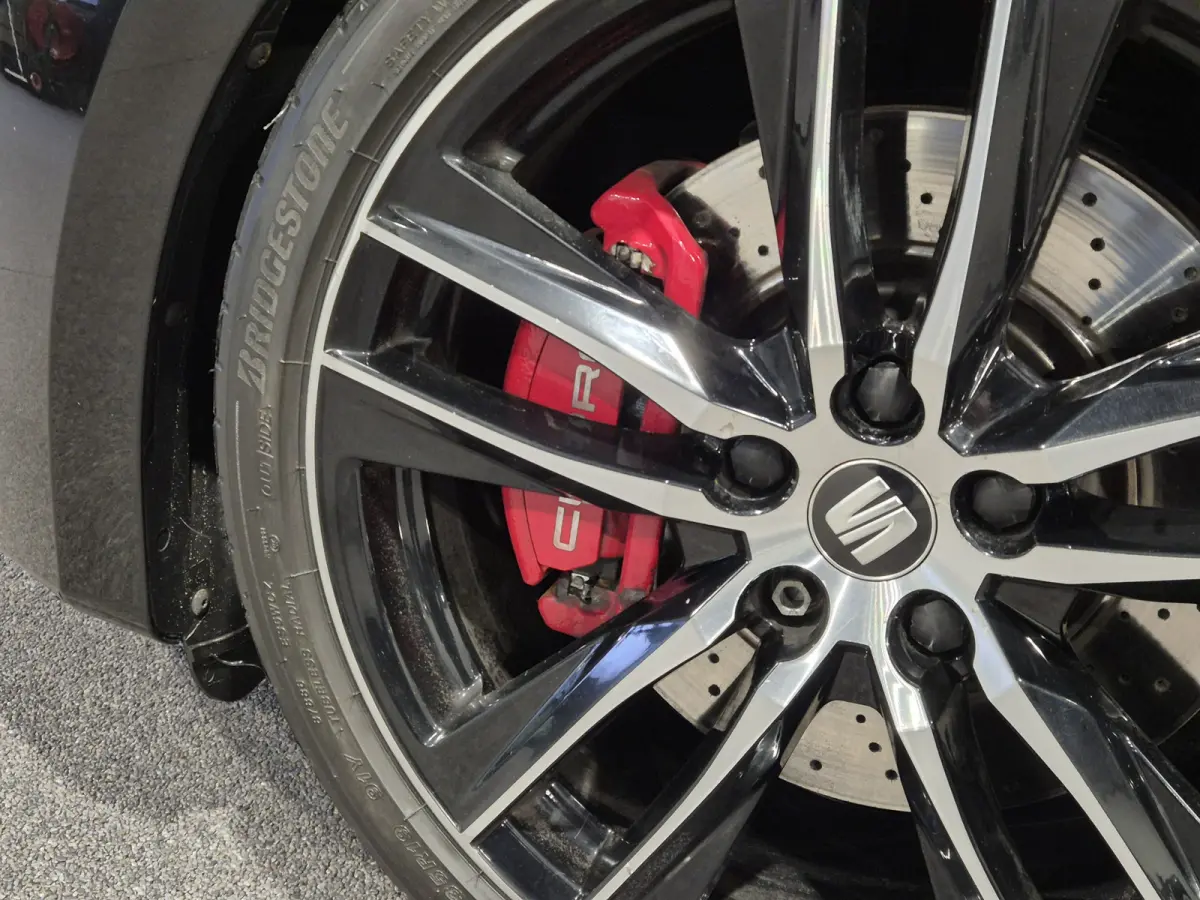 2.0 TSI CUPRA 300 Tuning Stage3 | Alarm klasse3 | 19" | Panorama | LED | Zeer compleet