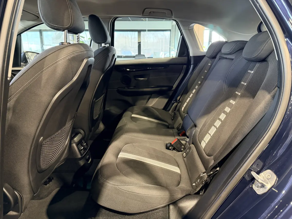225xe iPerformance Centennial Executive Plugin hybride | LED | Navigatie | Sport stoelen