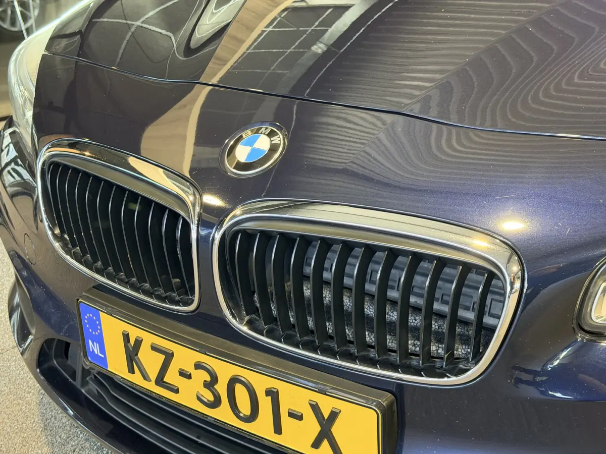 225xe iPerformance Centennial Executive Plugin hybride | LED | Navigatie | Sport stoelen