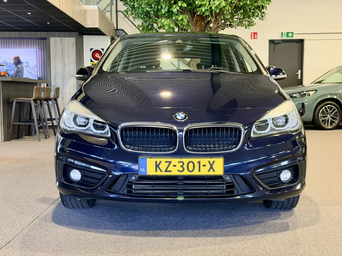 225xe iPerformance Centennial Executive Plugin hybride | LED | Navigatie | Sport stoelen