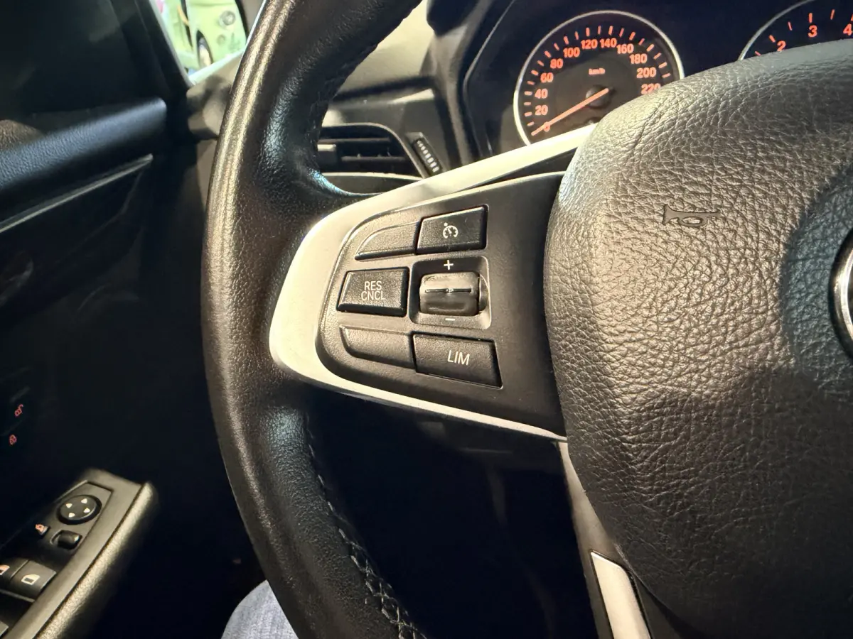 225xe iPerformance Centennial Executive Plugin hybride | LED | Navigatie | Sport stoelen