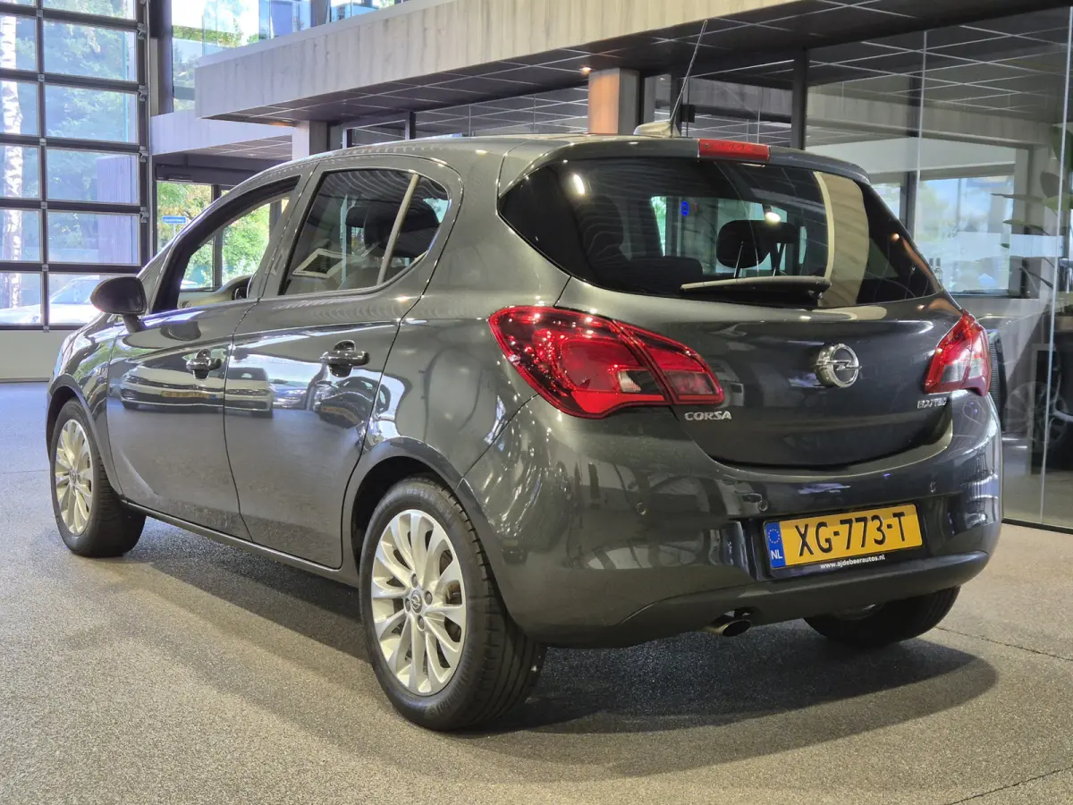 1.0 Turbo Online Edition Navigatie | Camera | Cruise | NAP | APK 2/8/27