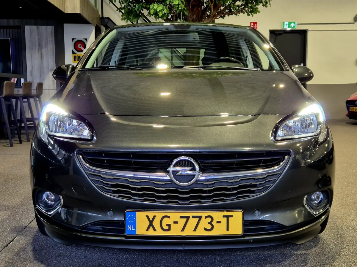 1.0 Turbo Online Edition Navigatie | Camera | Cruise | NAP | APK 2/8/27