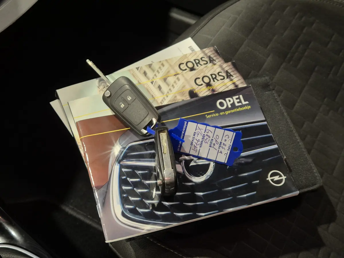 1.0 Turbo Online Edition Navigatie | Camera | Cruise | NAP | APK 2/8/27
