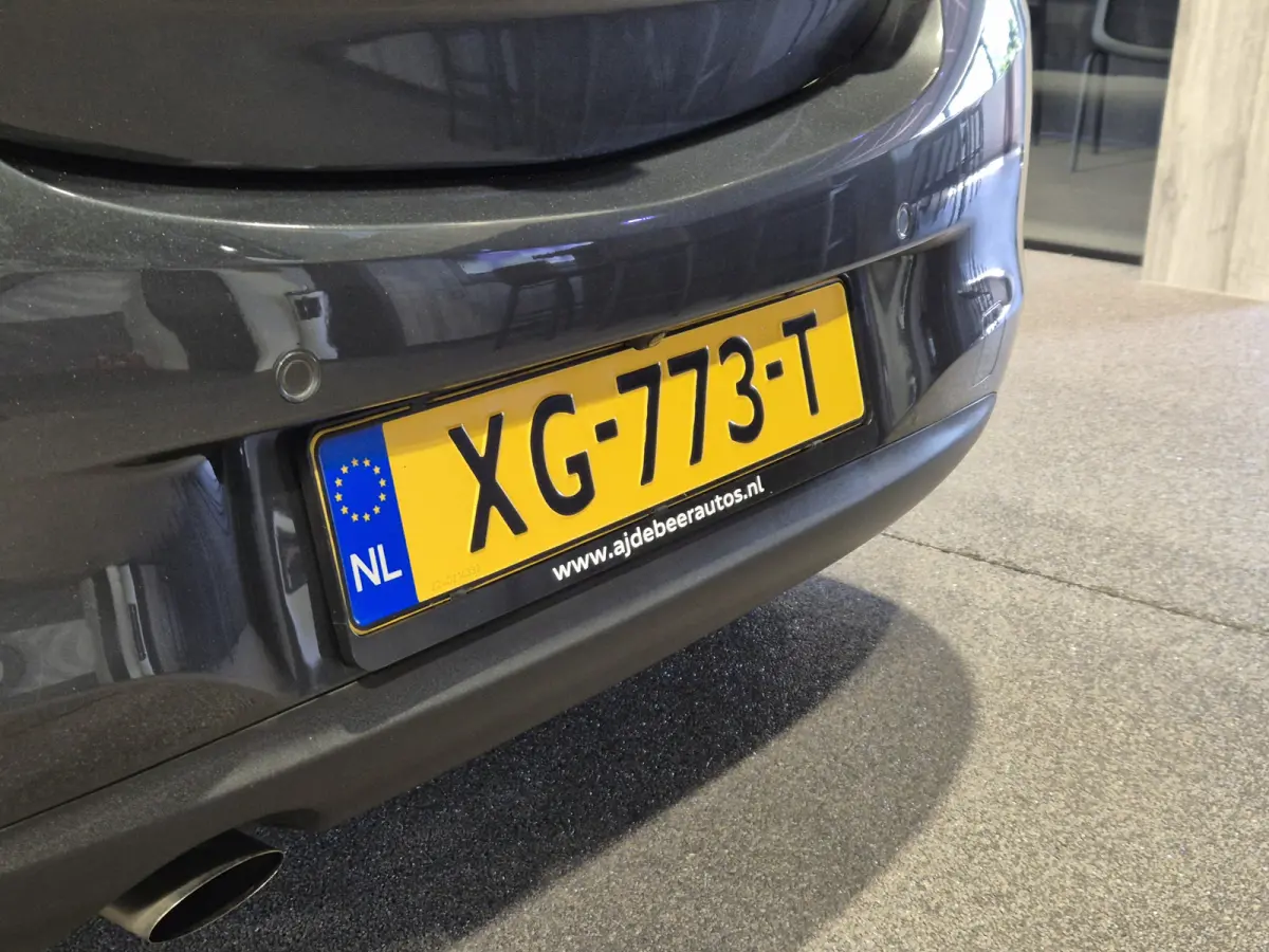 1.0 Turbo Online Edition Navigatie | Camera | Cruise | NAP | APK 2/8/27