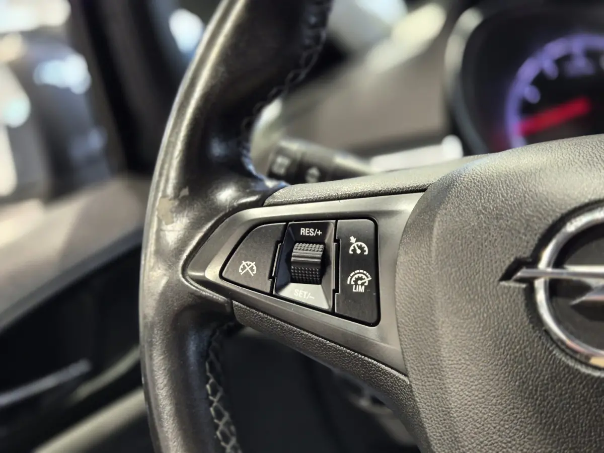 1.0 Turbo Online Edition Navigatie | Camera | Cruise | NAP | APK 2/8/27