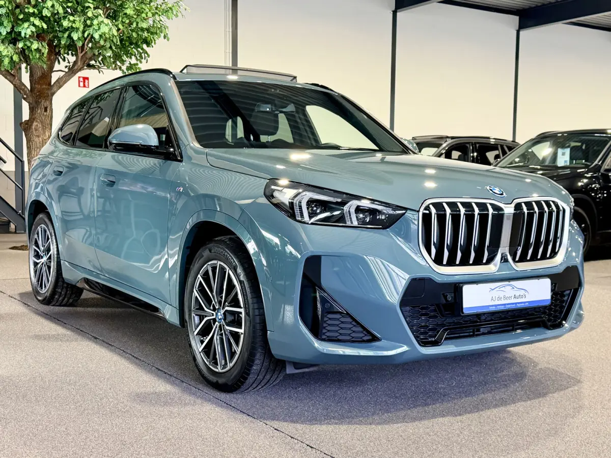 xDrive30e High Executive 326 pk M-Sport | Panorama | HUD | 360 Camera | Carplay/Android
