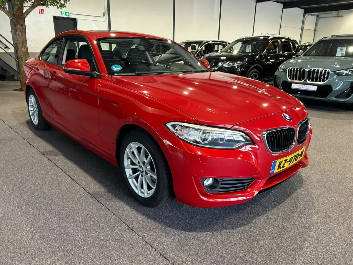 220i Centennial Executive Panorama | Open dak | LED | Navigatie | Airco