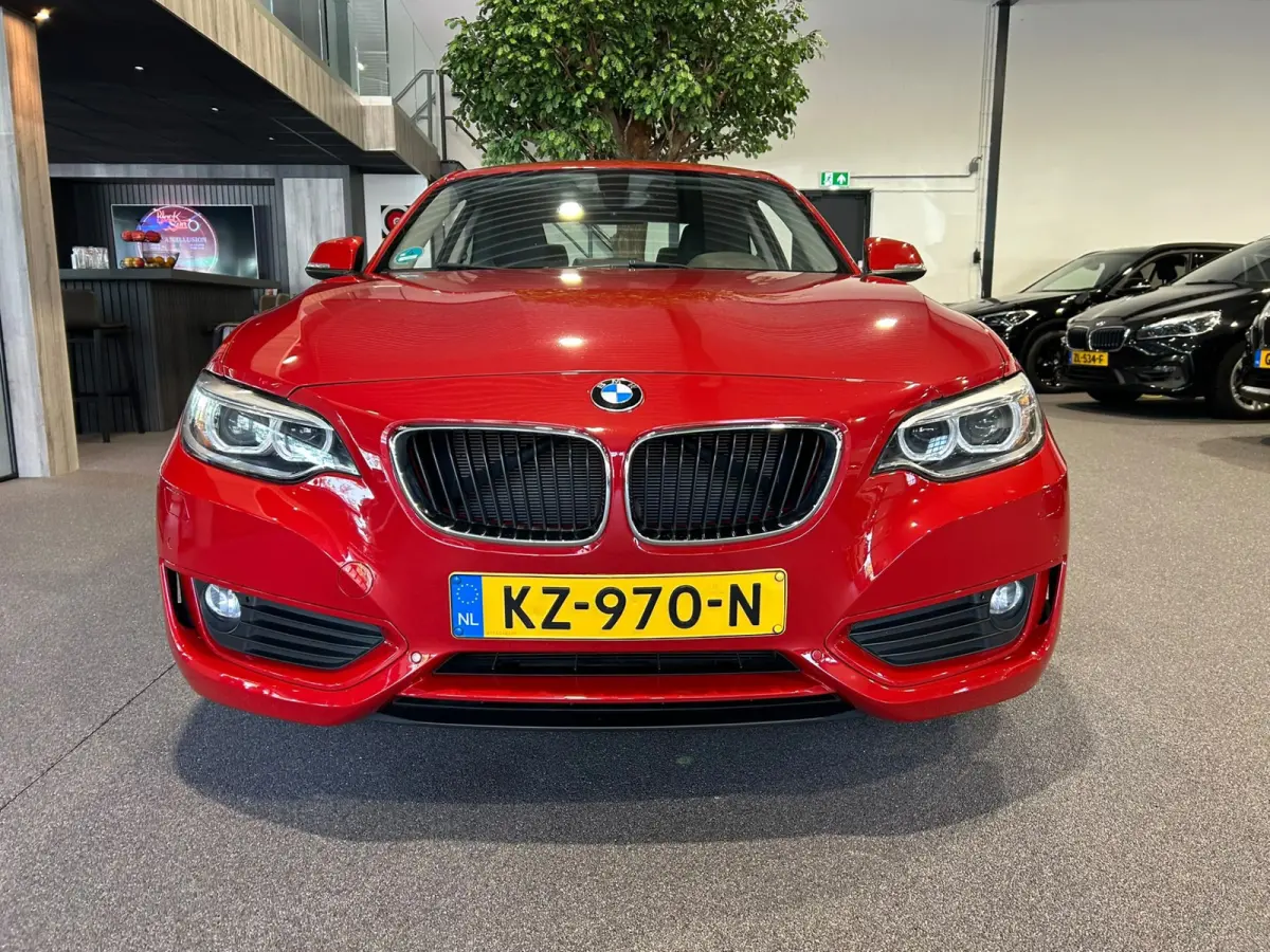 220i Centennial Executive Panorama | Open dak | LED | Navigatie | Airco