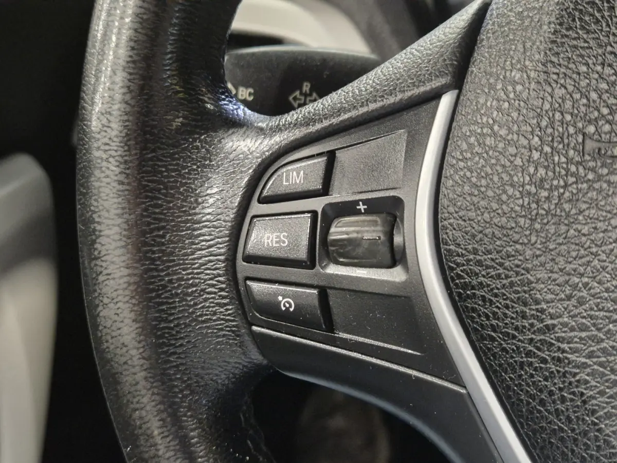 220i Centennial Executive Panorama | Open dak | LED | Navigatie | Airco