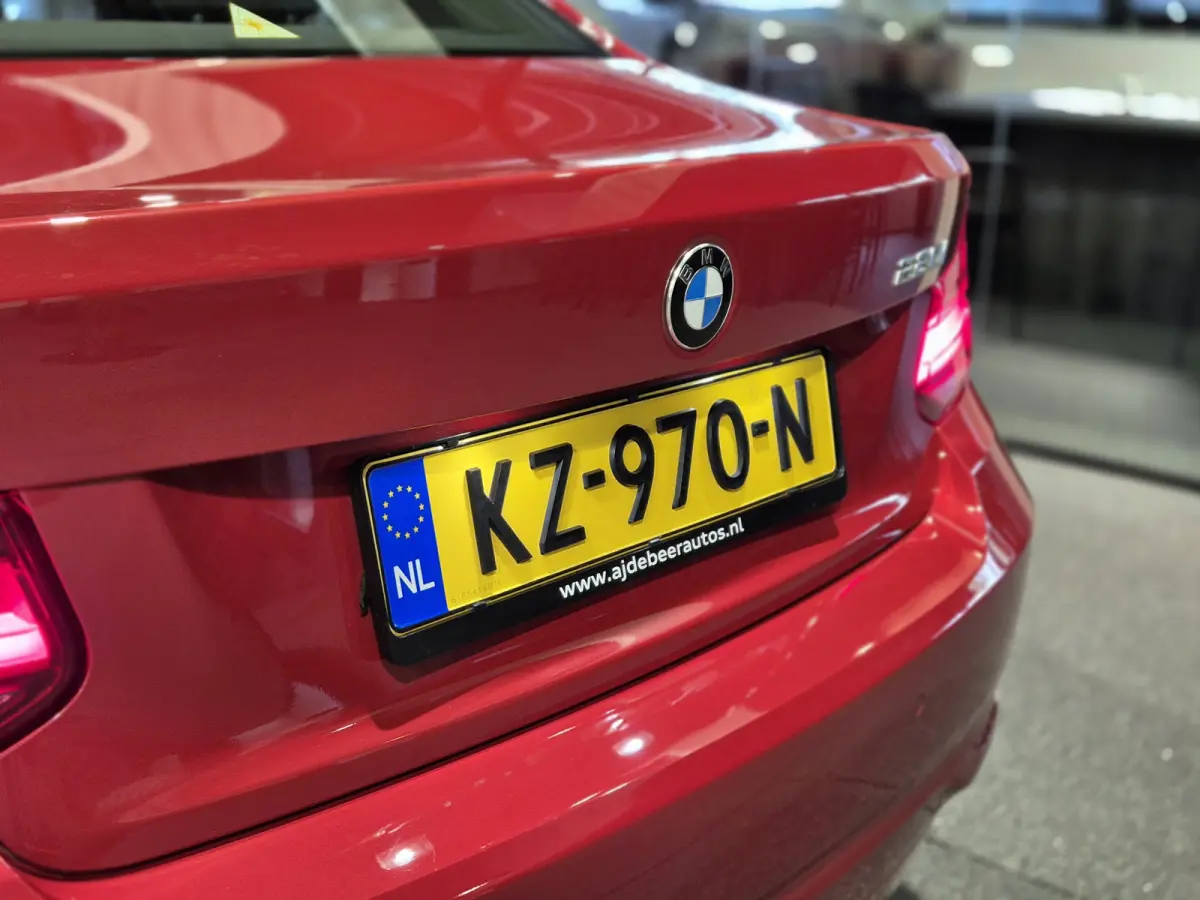 220i Centennial Executive Panorama | Open dak | LED | Navigatie | Airco