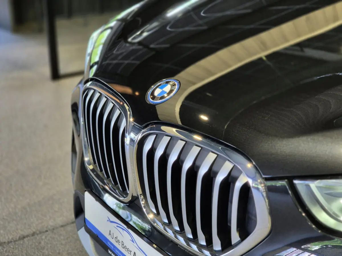 xDrive25e High Executive X-Line | Panorama | Trekhaak | Camera