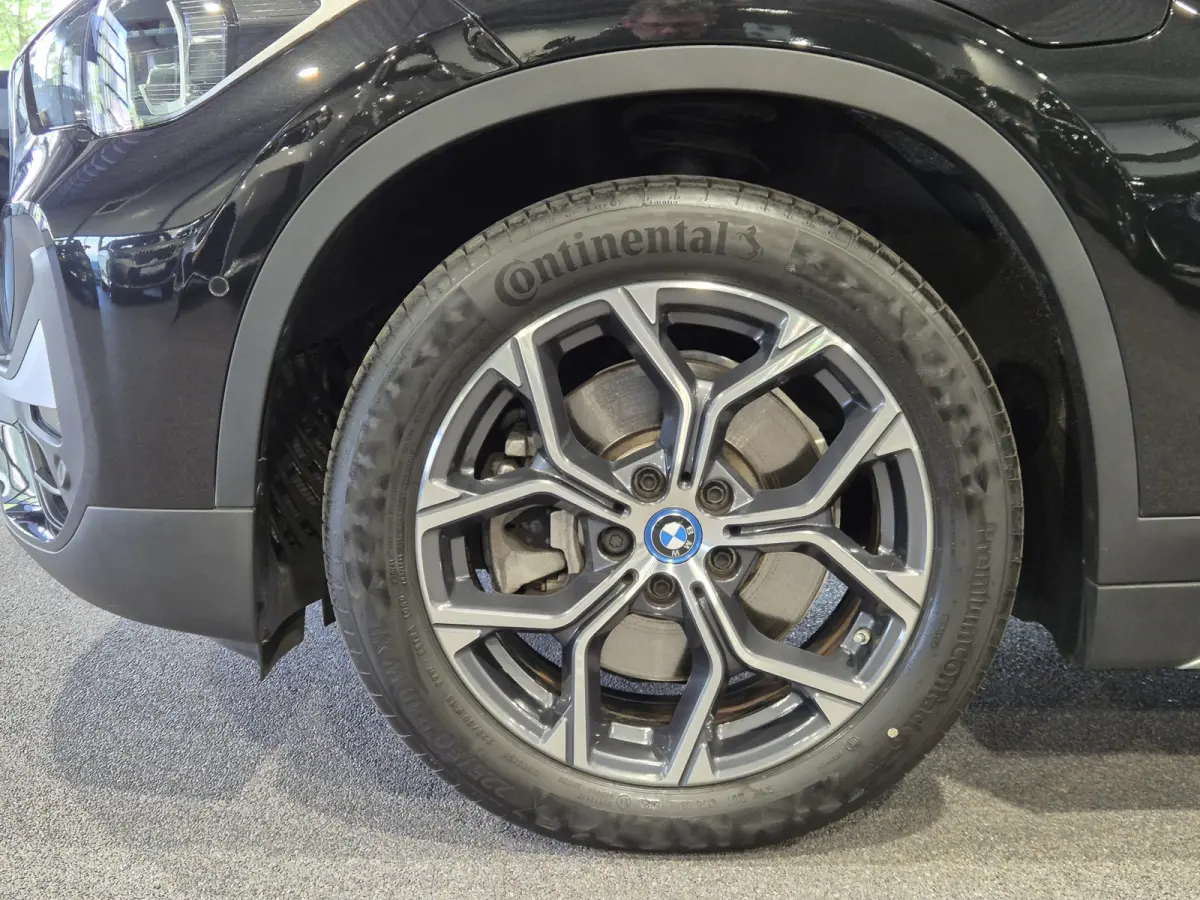 xDrive25e High Executive X-Line | Panorama | Trekhaak | Camera