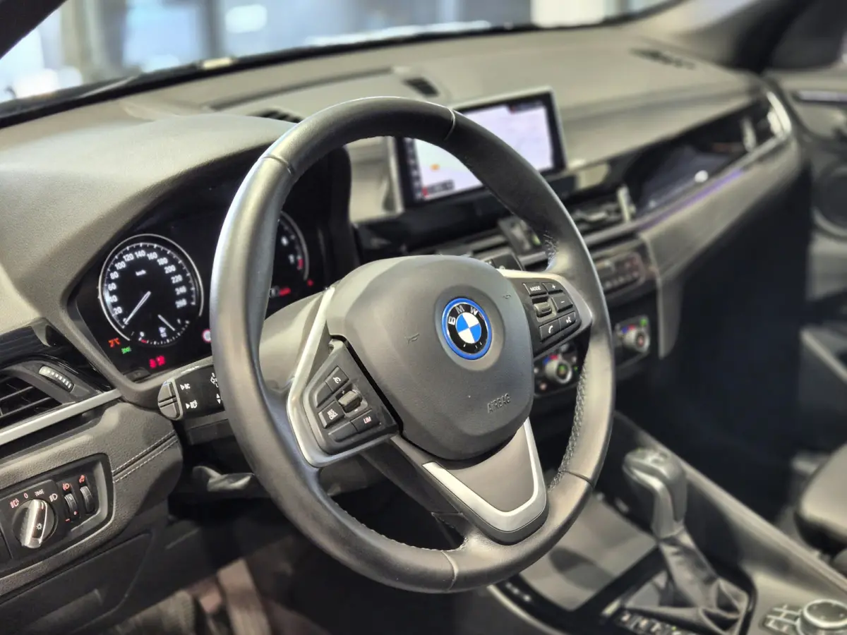 xDrive25e High Executive X-Line | Panorama | Trekhaak | Camera