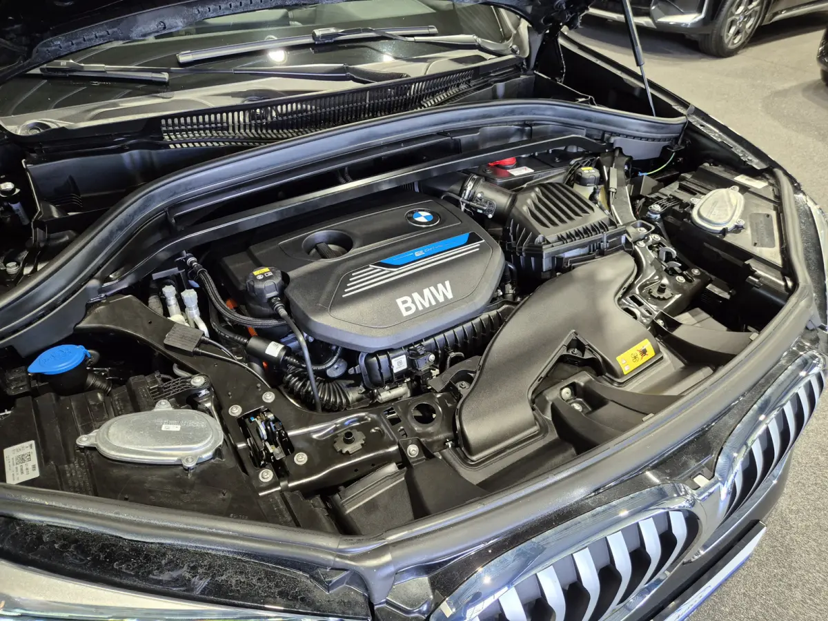 xDrive25e High Executive X-Line | Panorama | Trekhaak | Camera