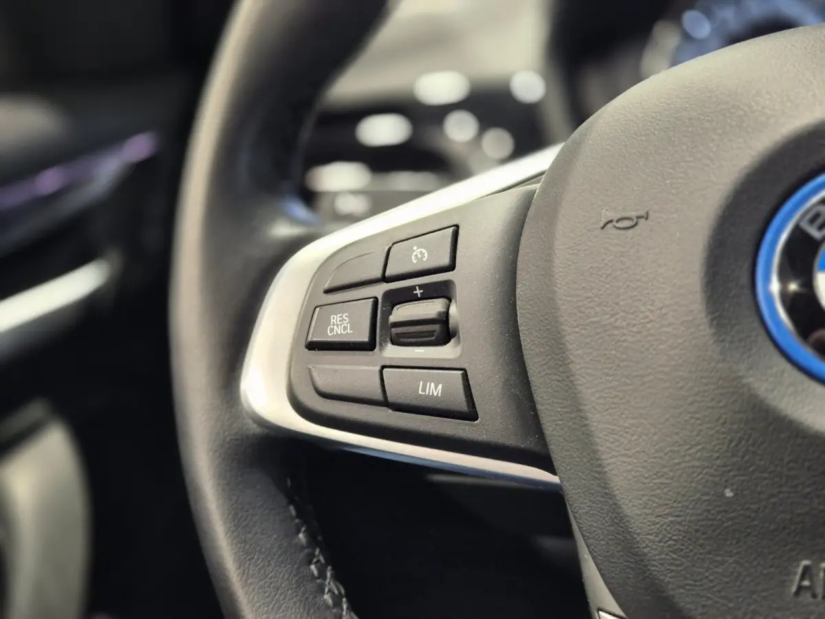xDrive25e High Executive X-Line | Panorama | Trekhaak | Camera