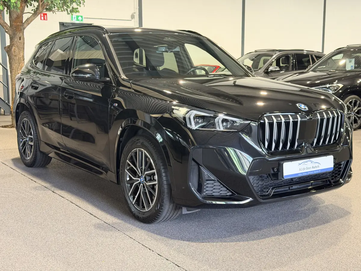 xDrive25e M-Sport | 360 Camera | Stoelverwarming | HUD