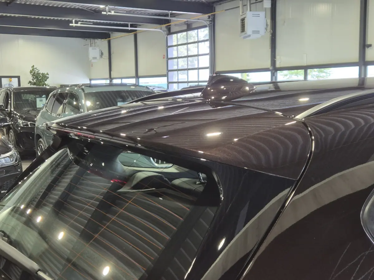 xDrive25e Executive Sportline | Sparkling Brown | Camera | HUD | Stoelverwarming