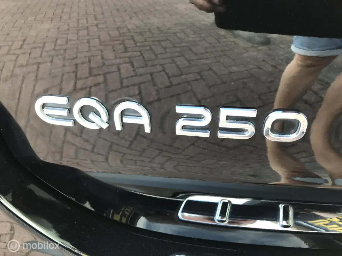 250 Electric Art 67 kWh