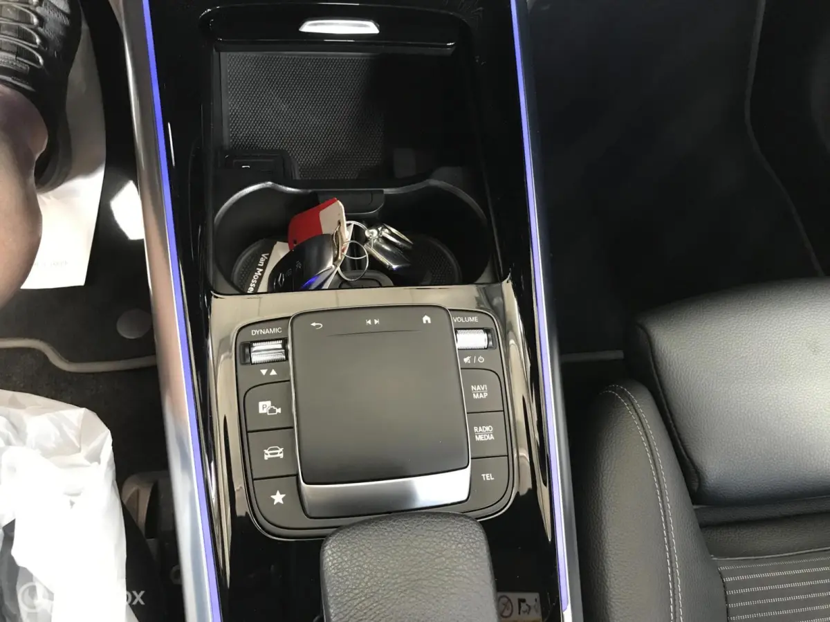 250 Electric Art 67 kWh