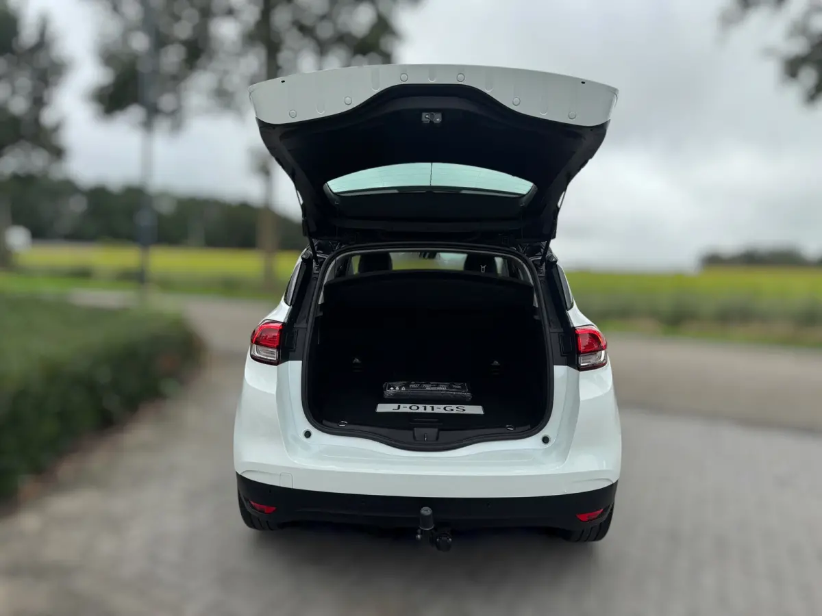 1.3 TCe Bose Trekhaak / Navigatie / 20 Inch LMV / Led / Pdc V+A