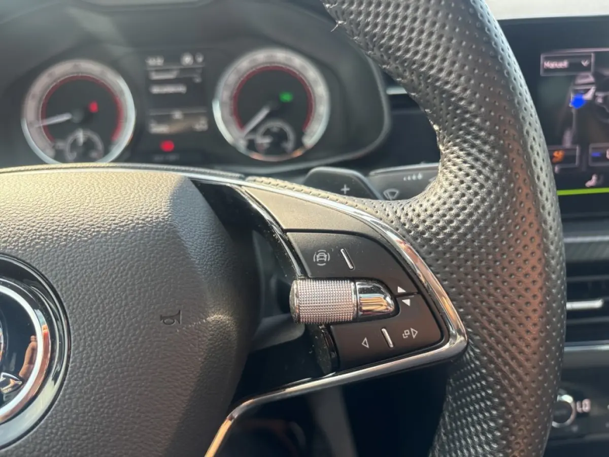 1.5 TSI DSG MONTE CARLO GLASDAK/CARPLAY/CRUISE/STOELVERW