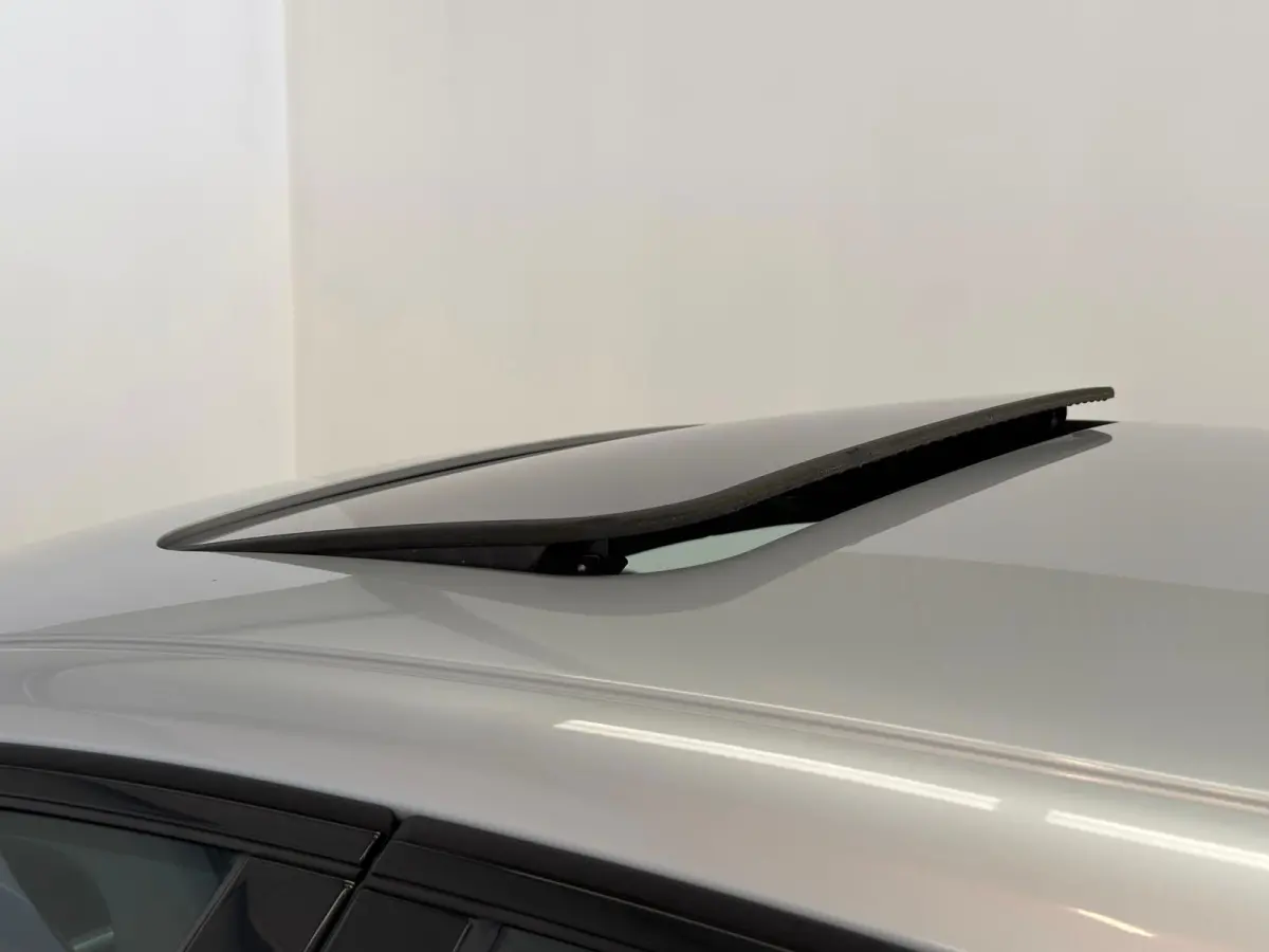 2.0 D3 Polar+ Dynamic / 1e eig. / NL-auto / Schuifdak