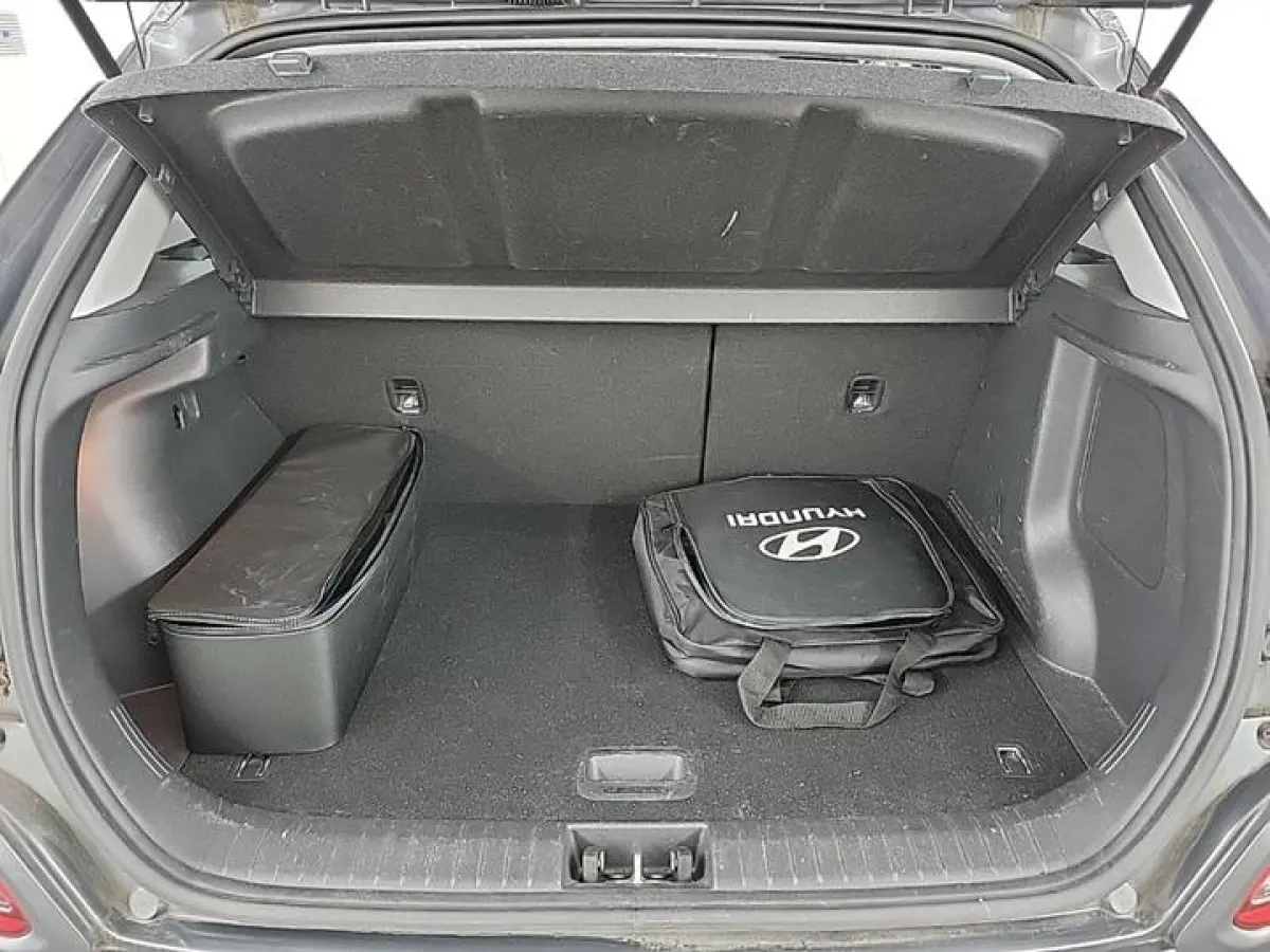 EV COMFORT 64 kWh (100% SOH) I AUTOMAAT I P-CAMERA I APPLE CARPLAY I CRUISE CONTROL