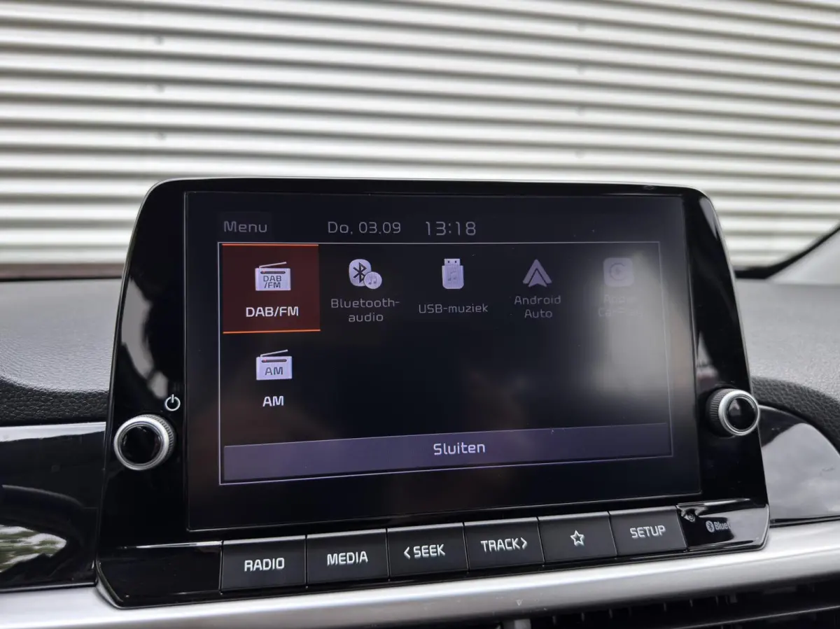 1.0 DPi DynamicLine|Automaat|Camera|Carplay|Cruise|Navi|
