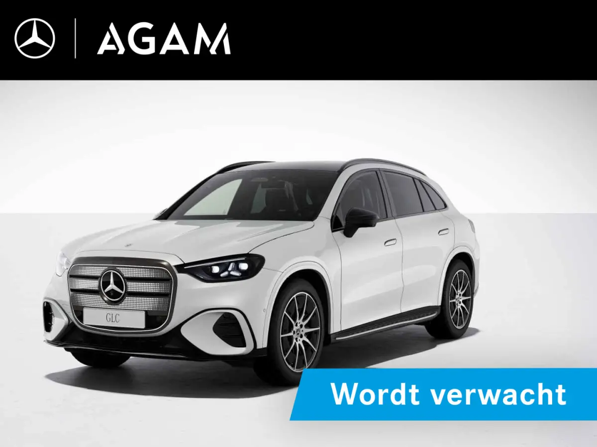 electric 250 Business Solution AMG 85 kWh