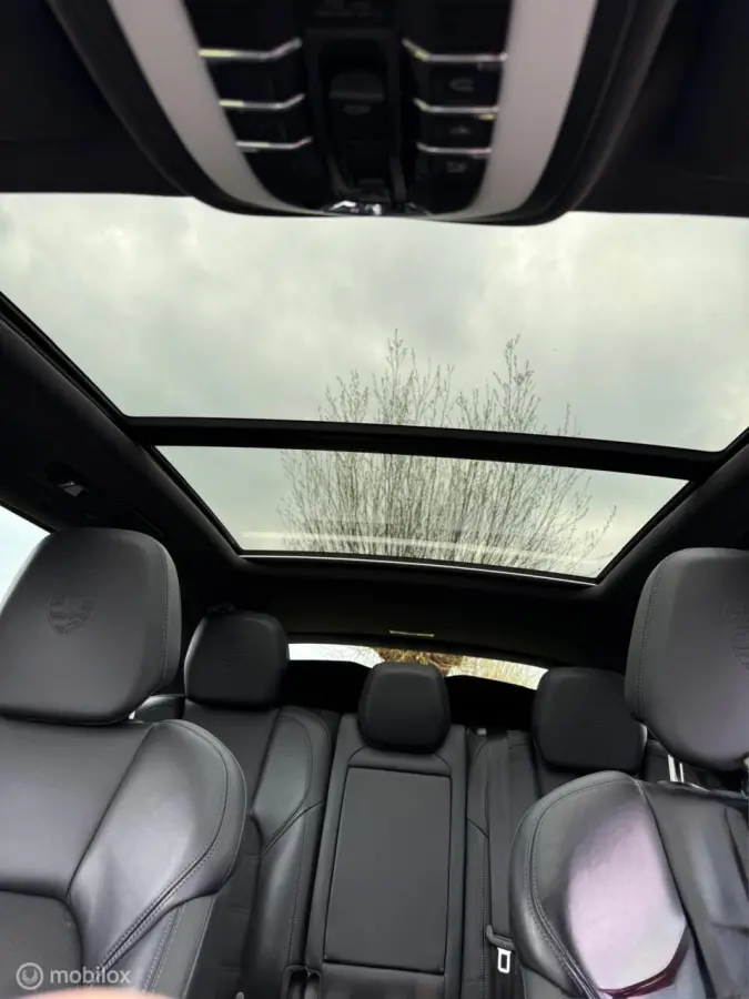 3.0 S E-Hybrid Platinum Edition