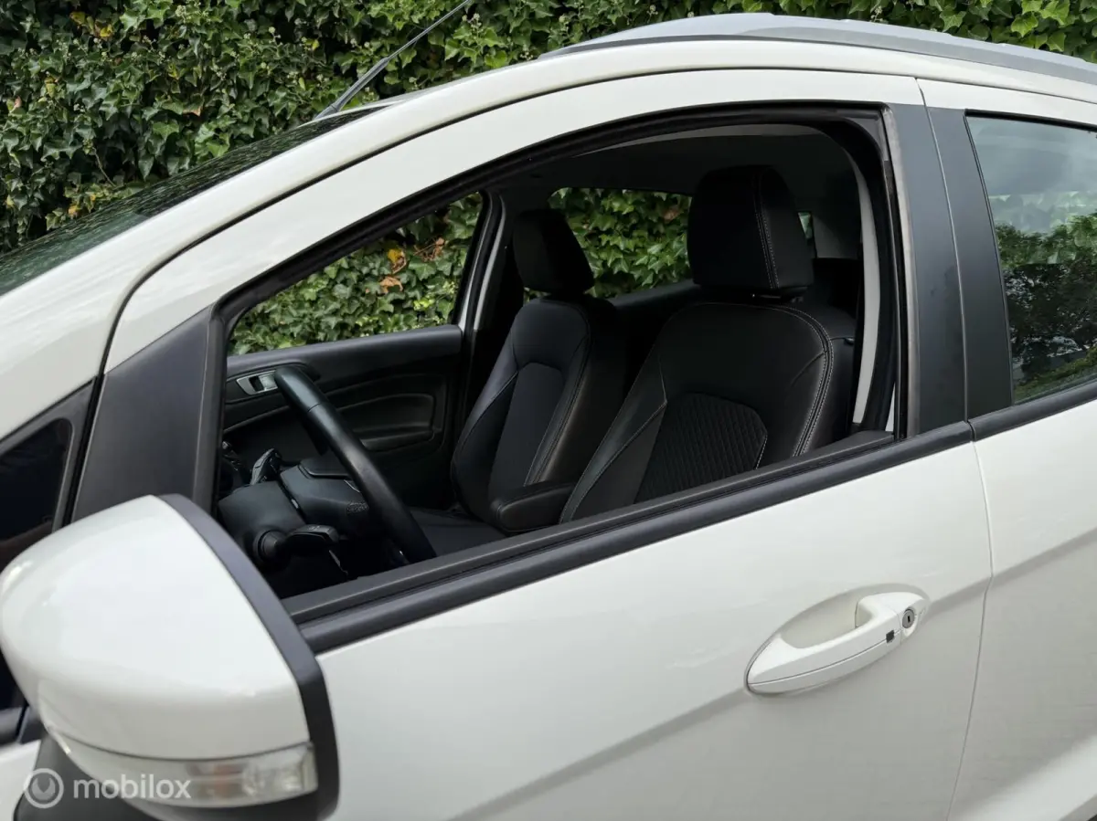 1.0 EcoBoost Clima|Trekhaak|Cruise|APK Nieuw