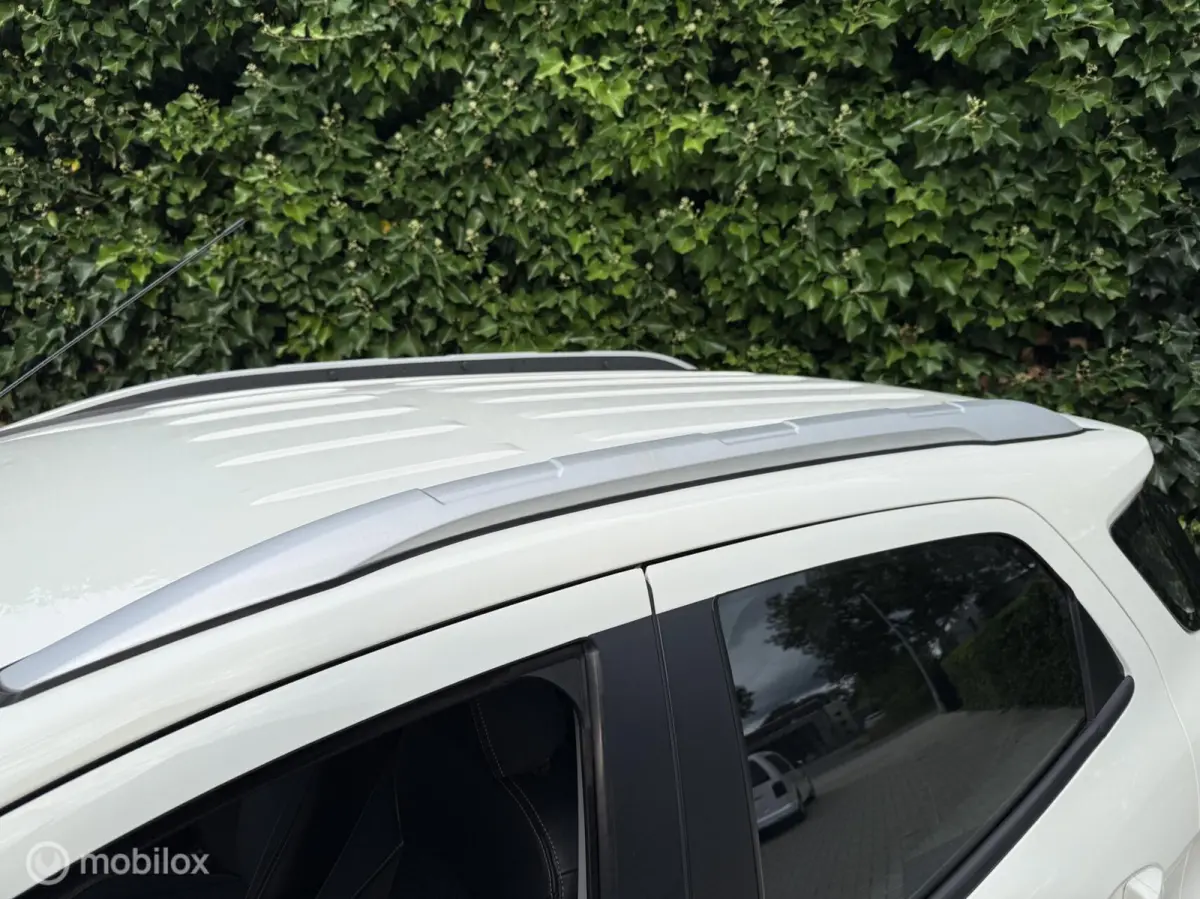 1.0 EcoBoost Clima|Trekhaak|Cruise|APK Nieuw