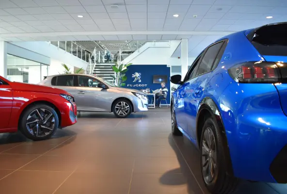 Pro Life 39.8 kWh | NU TE BESTELLEN | VANAF € 23.995,- | PRIVATE LEASE VANAF € 389,- PER MAAND