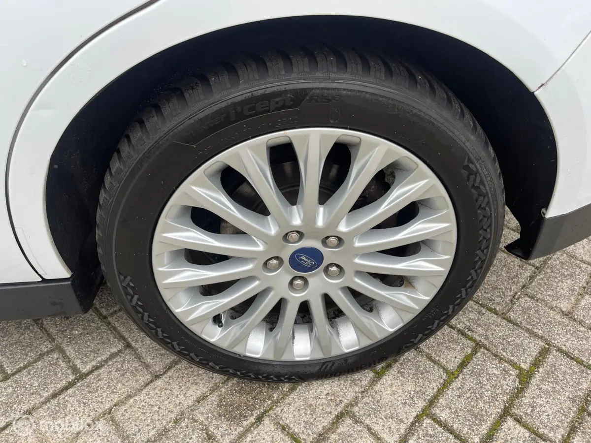 1.0 WHITE EDITION