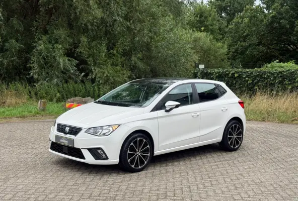 1.0 TSI CARPLAY I PDC I FR VELGEN I STOELVERW I NWE APK