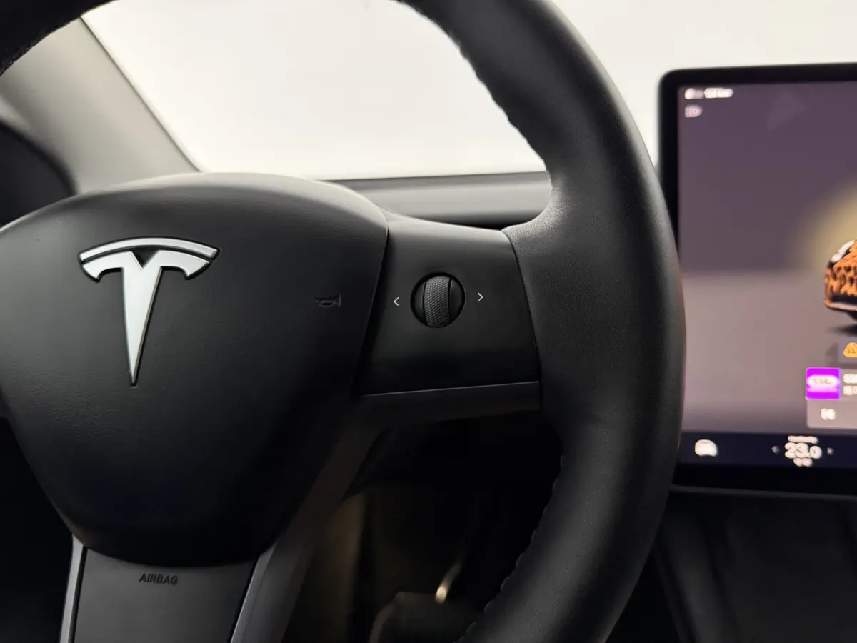 Long Range AWD 75 kWh | Snelladen | SOH 90% | Autopilot | 360° | Pano | Carplay