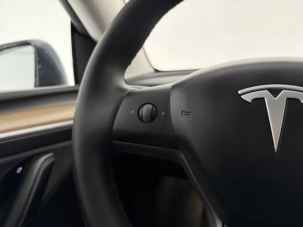 Long Range AWD 75 kWh | Snelladen | SOH 90% | Autopilot | 360° | Pano | Carplay