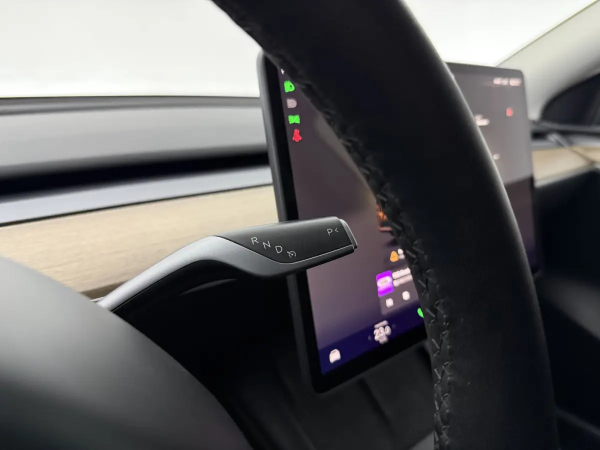 Long Range AWD 75 kWh | Snelladen | SOH 90% | Autopilot | 360° | Pano | Carplay