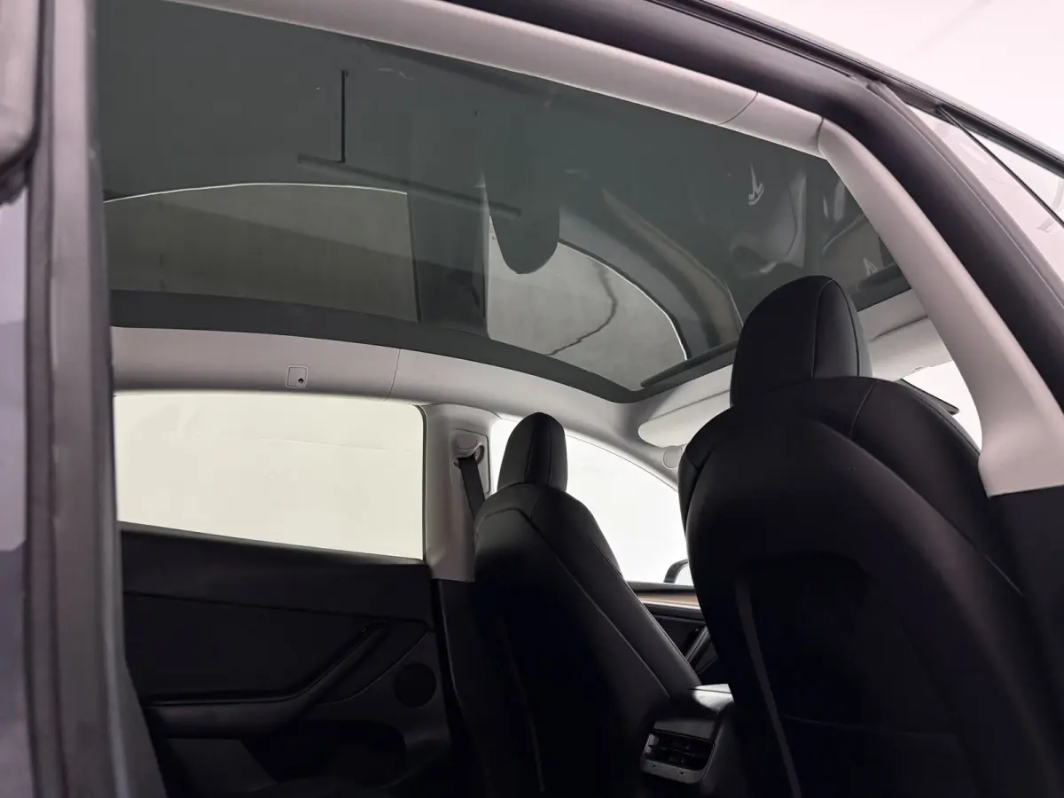 Long Range AWD 75 kWh | Snelladen | SOH 90% | Autopilot | 360° | Pano | Carplay