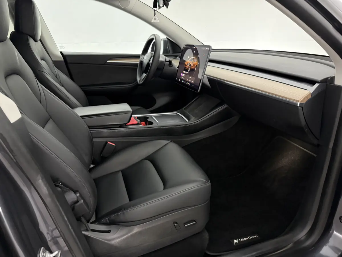 Long Range AWD 75 kWh | Snelladen | SOH 90% | Autopilot | 360° | Pano | Carplay