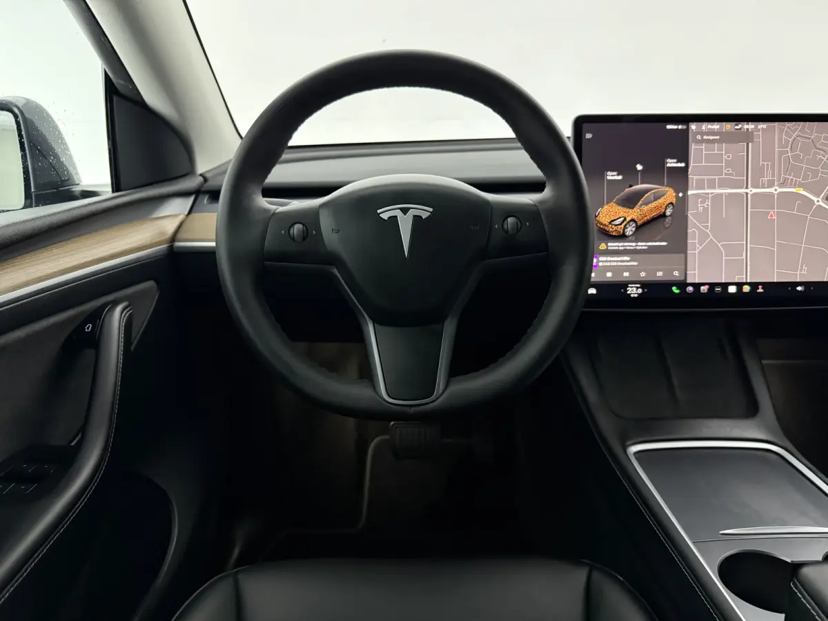 Long Range AWD 75 kWh | Snelladen | SOH 90% | Autopilot | 360° | Pano | Carplay