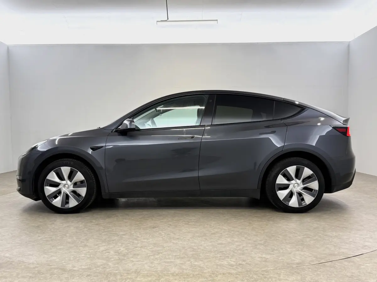 Long Range AWD 75 kWh | Snelladen | SOH 90% | Autopilot | 360° | Pano | Carplay