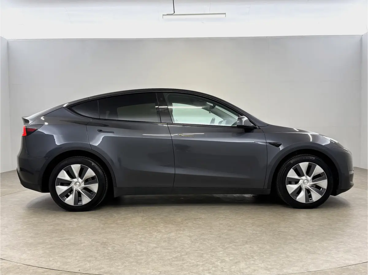 Long Range AWD 75 kWh | Snelladen | SOH 90% | Autopilot | 360° | Pano | Carplay