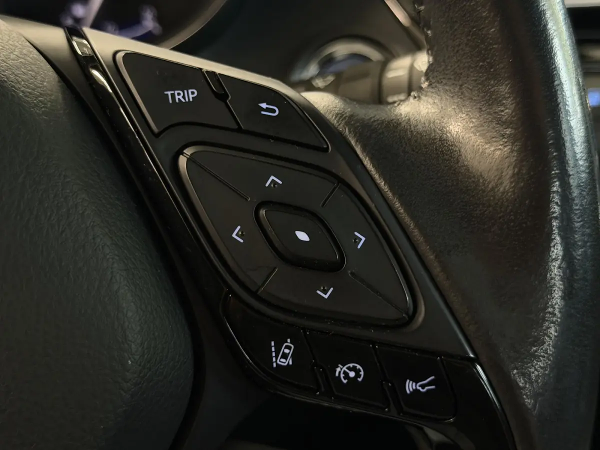 2.0 Hybrid Dynamic | Winterpakket | Camera | PDC | Carplay | All-Season | LED ( Vestiging - Vianen)